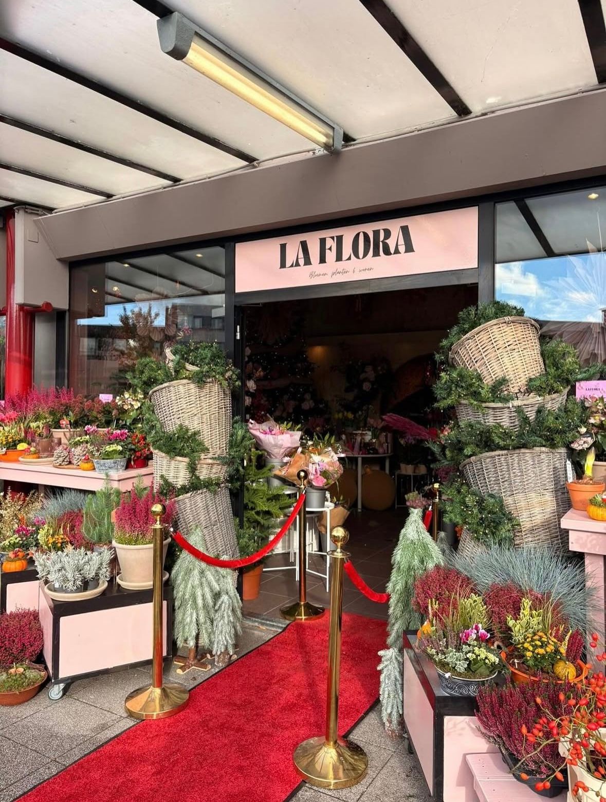 Rode loper met gouden afzetpaaltjes - alternate view